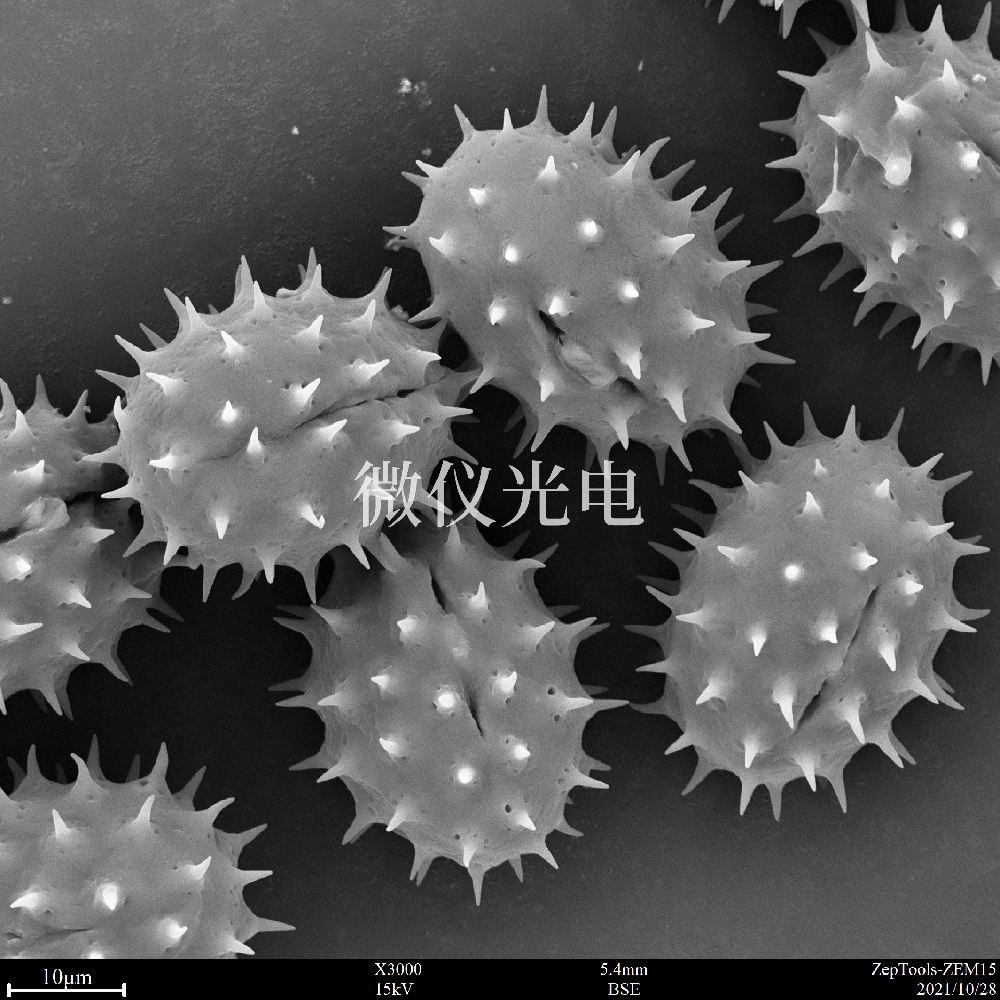 sem掃描電鏡的原理、組成、基本參數(shù)和應(yīng)用的介紹